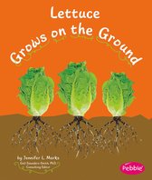 How Fruits and Vegetables Grow - Lettuce Grows on the Ground