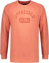 Sweater Koraal (211252 - 428)