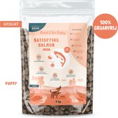 Studio Proud - Puppy hondenvoer - zalm - graanvrij - krokant - 4 kg - Proud & Free Puppy - Satisfying Salmon