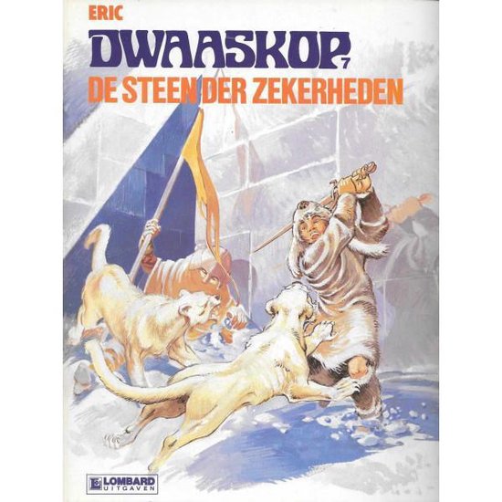 Omslag van Dwaaskop - De Steen der Zekerheden door Eric