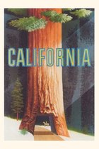 Pocket Sized - Found Image Press Journals- Vintage Journal California Redwoods Travel Poster