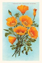 Pocket Sized - Found Image Press Journals- Vintage Journal California Poppies