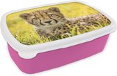 Broodtrommel Roze - Lunchbox - Brooddoos - Luipaard - Gras - Cheeta - 18x12x6 cm - Kinderen - Meisje