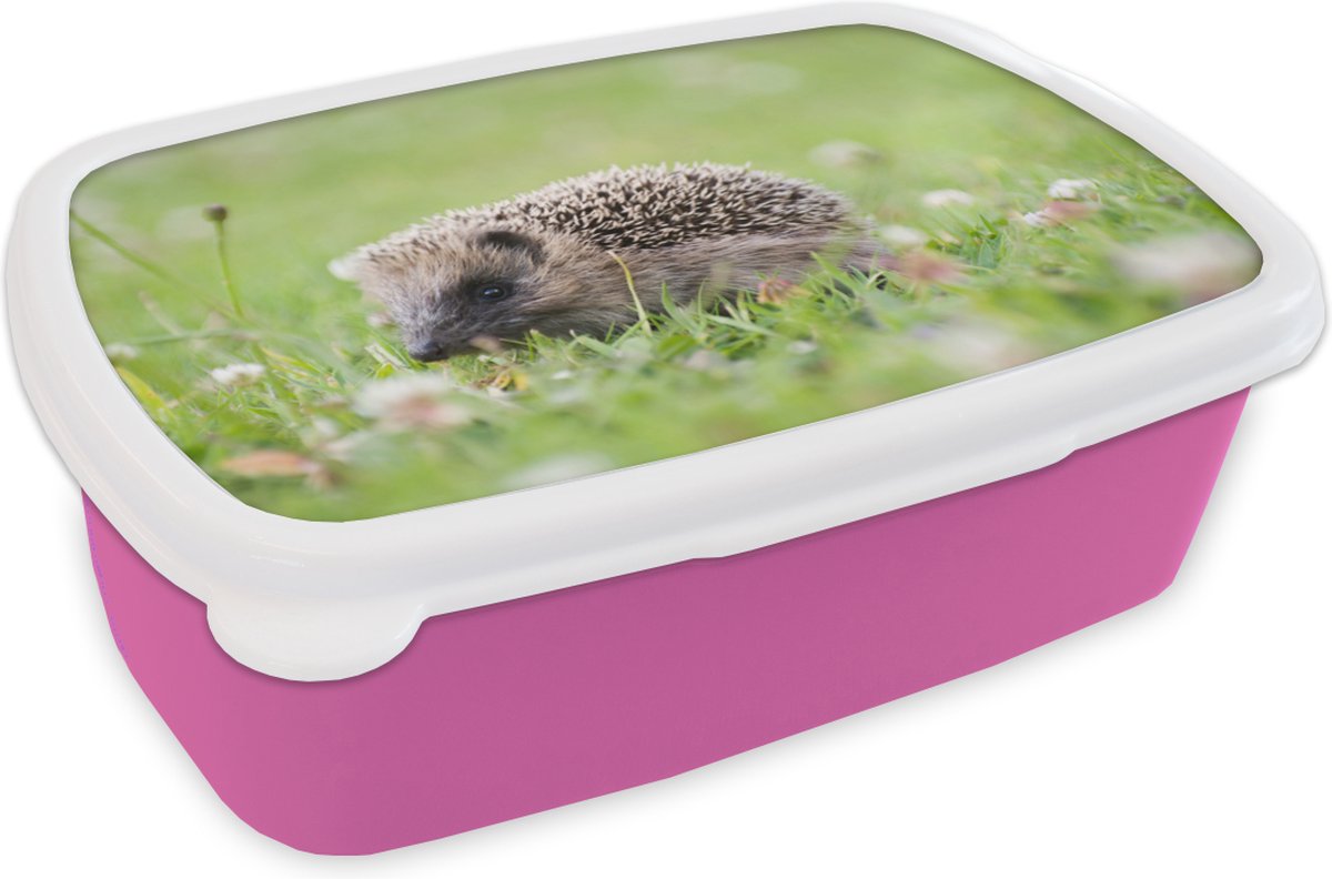 Broodtrommel Roze - Lunchbox - Brooddoos - Kleine egel in gras - 18x12x6 cm - Kinderen - Meisje
