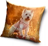 Hond met Gestreepte Shirt Sierkussens - Kussen - 40 x 40 inclusief vulling - Kussen van Polyester - KledingDroom®
