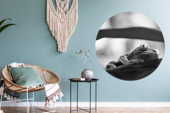 WallCircle - Wall Circle - Wall Circle Indoor - Grenouilles dans la nature du Costa Rica en noir et blanc - 120x120 cm - Décoration murale - Peintures Ronds XXL