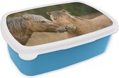Broodtrommel Blauw - Lunchbox - Brooddoos - Close-up van knuffelende fjord paarden - 18x12x6 cm - Kinderen - Jongen
