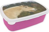 Broodtrommel Roze - Lunchbox - Brooddoos - Close-up van een lichtbruin fjord paard - 18x12x6 cm - Kinderen - Meisje