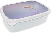 Broodtrommel Wit - Lunchbox - Brooddoos - Flamingo - Water - Roze - 18x12x6 cm - Volwassenen