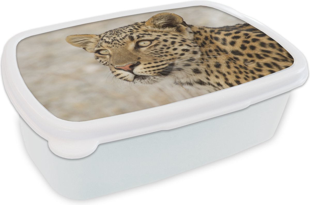Broodtrommel Wit - Lunchbox - Brooddoos - Luipaard - Macro - Bruin - 18x12x6 cm - Volwassenen