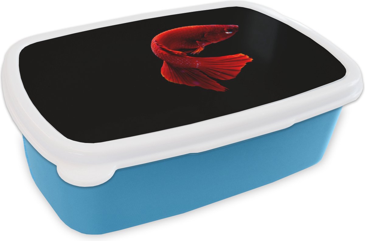 Broodtrommel Blauw - Lunchbox - Brooddoos - Vis - Rood - Zwart - 18x12x6 cm - Kinderen - Jongen