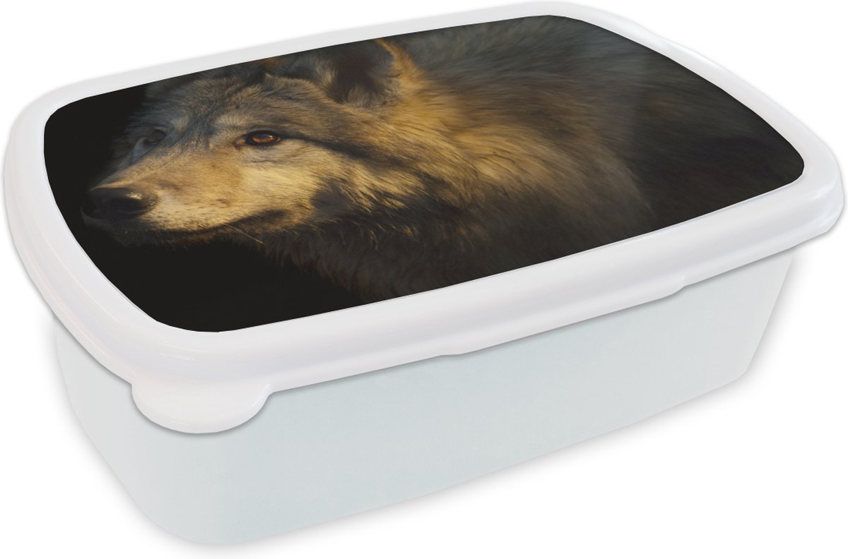 Broodtrommel Wit - Lunchbox - Brooddoos - Wolf - Goud - Zon - 18x12x6 cm - Volwassenen