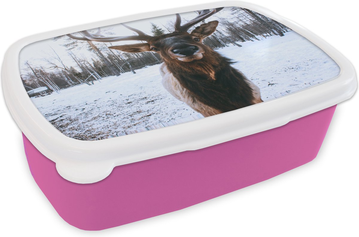 Broodtrommel Roze - Lunchbox - Brooddoos - Hert - Sneeuw - Neus - 18x12x6 cm - Kinderen - Meisje