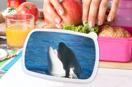 Lunch box Rose - Lunch box - Boîte à pain - Orque à la surface de l'eau - 18x12x6 cm - Enfants - Fille