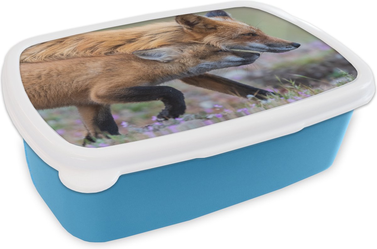 Broodtrommel Blauw - Lunchbox - Brooddoos - Rode vos met jong - 18x12x6 cm - Kinderen - Jongen