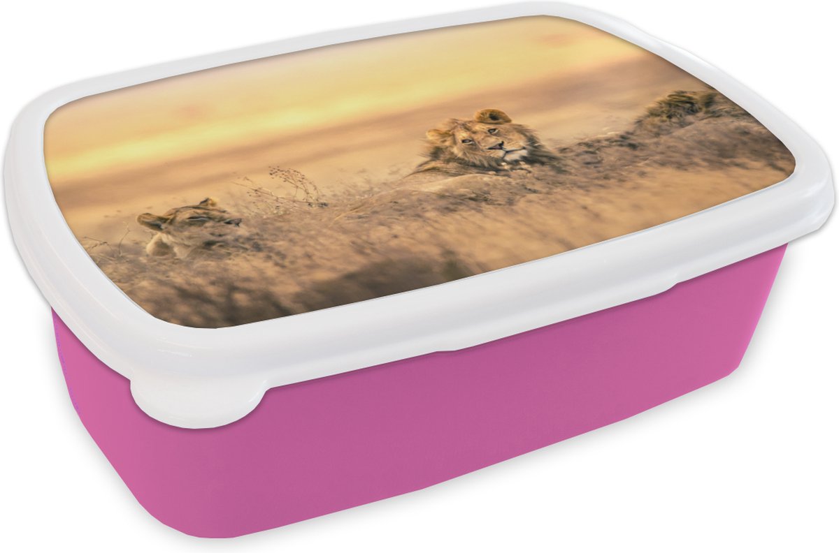 Broodtrommel Roze - Lunchbox - Brooddoos - Leeuwen - Gras - Lucht - 18x12x6 cm - Kinderen - Meisje