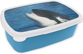 Broodtrommel Blauw - Lunchbox - Brooddoos - Orka bij wateroppervlak - 18x12x6 cm - Kinderen - Jongen