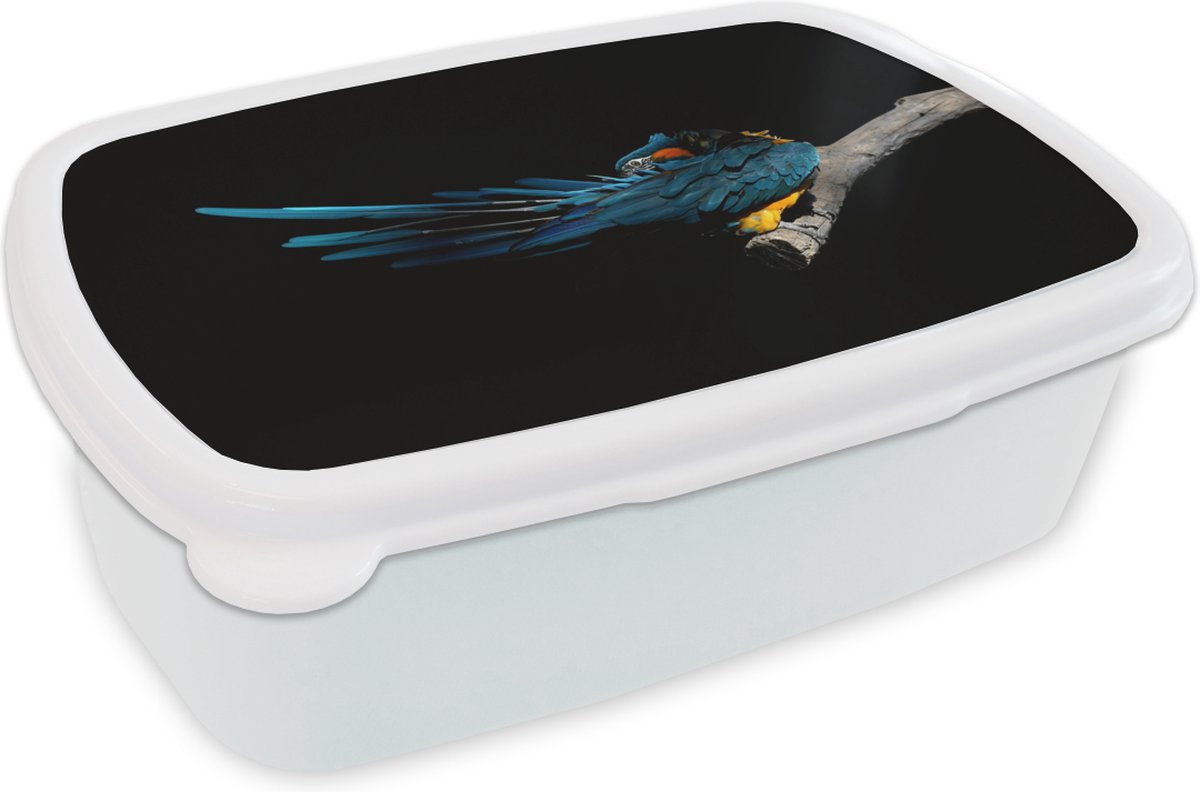 Broodtrommel Wit - Lunchbox - Brooddoos - Vogel - Veren - Tak - Zwart - 18x12x6 cm - Volwassenen