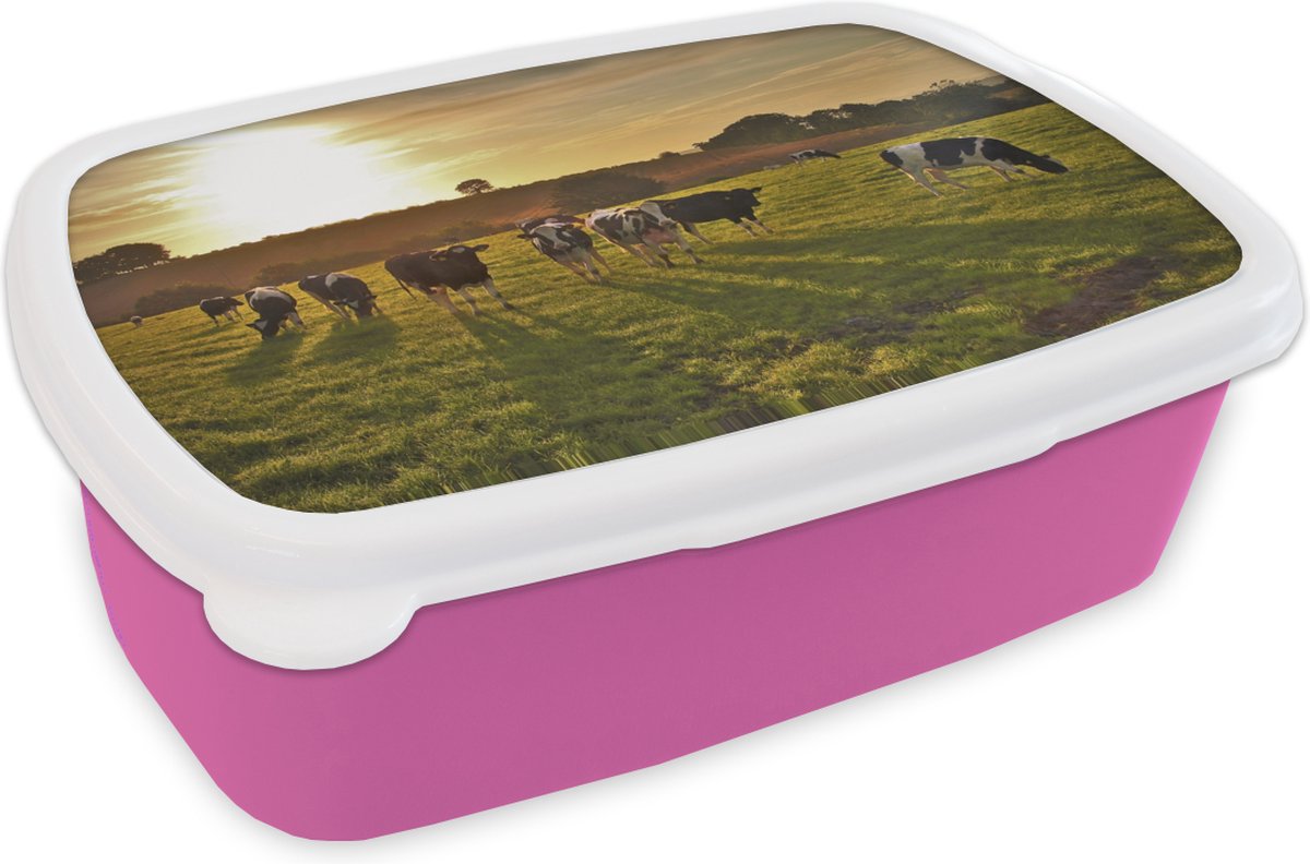 Broodtrommel Roze - Lunchbox - Brooddoos - Koeien - Zon - Licht - 18x12x6 cm - Kinderen - Meisje
