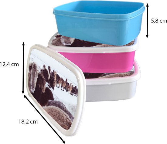 Boîte à lunch Blauw - Boîte à lunch - Boîte à pain - Paarden - Neige - Wit - 18x12x6 cm - Enfants - Garçon - Cadeau Sinterklaas - Distribution de cadeaux pour enfants - Cadeaux chaussures Sinterklaas
