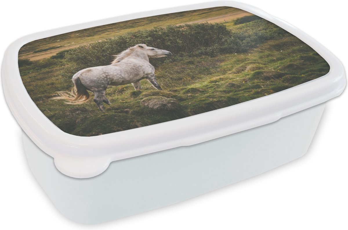 Broodtrommel Wit - Lunchbox - Brooddoos - Paard - Wit - IJsland - 18x12x6 cm - Volwassenen