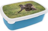 Broodtrommel Blauw - Lunchbox - Brooddoos - Olifant - Baby - Kalf - 18x12x6 cm - Kinderen - Jongen