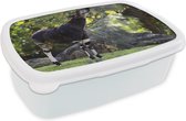 Broodtrommel Wit - Lunchbox - Brooddoos - Okapi die bladeren eet in het grasland - 18x12x6 cm - Volwassenen