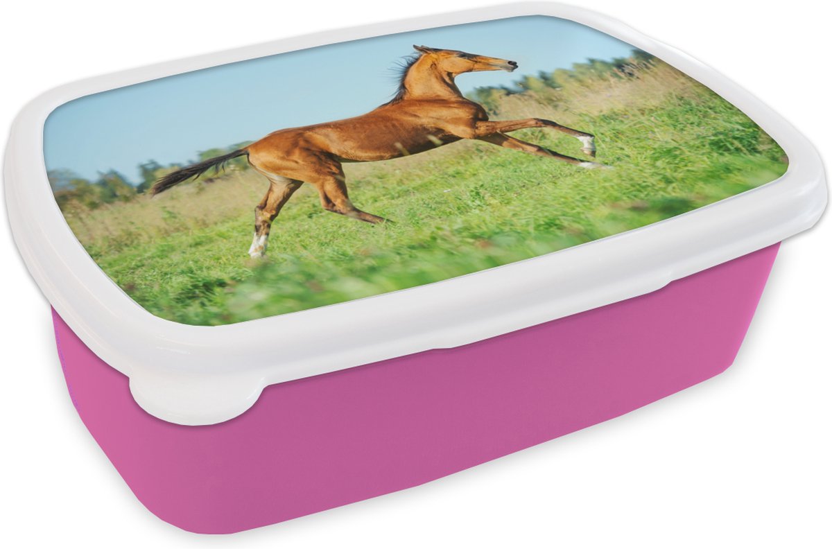 Broodtrommel Roze - Lunchbox - Brooddoos - Paard - Gras - Bruin - 18x12x6 cm - Kinderen - Meisje