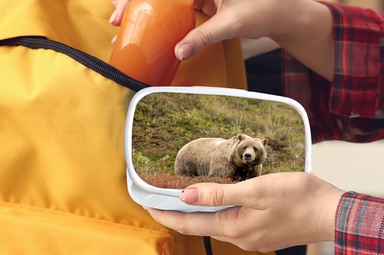 Broodtrommel Wit - Lunchbox - Brooddoos - Beer - Heide - Grizzly - 18x12x6 cm - Volwassenen