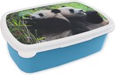 Broodtrommel Blauw - Lunchbox - Brooddoos - Panda - Bamboe - Natuur - 18x12x6 cm - Kinderen - Jongen