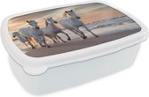 Broodtrommel Wit - Lunchbox Paarden - Zon - Strand - Zee - Brooddoos 18x12x6 cm - Brood lunch box - Broodtrommels voor kinderen en volwassenen