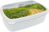 Broodtrommel Wit - Lunchbox - Brooddoos - Spelt - Graan - Lucht - 18x12x6 cm - Volwassenen