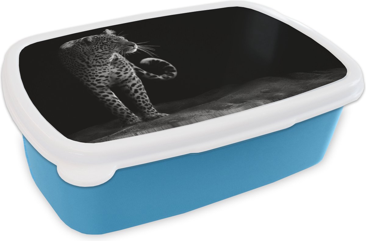Broodtrommel Blauw - Lunchbox - Brooddoos - Luipaard - Zwart - Wit - 18x12x6 cm - Kinderen - Jongen