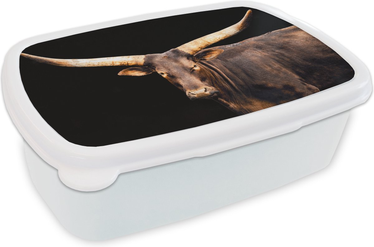 Broodtrommel Wit - Lunchbox - Brooddoos - Koe - Watussi - Hoorns - 18x12x6 cm - Volwassenen