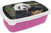 Broodtrommel Roze - Lunchbox - Brooddoos - Panda - Bamboe - Natuur - 18x12x6 cm - Kinderen - Meisje