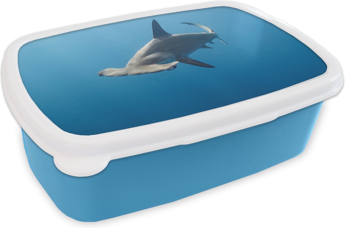 Broodtrommel Blauw - Lunchbox - Brooddoos - Hamerhaai - 18x12x6 cm - Kinderen - Jongen