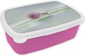 Broodtrommel Roze - Lunchbox - Brooddoos - Kleine slak - 18x12x6 cm - Kinderen - Meisje
