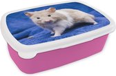 Broodtrommel Roze - Lunchbox - Brooddoos - Syrische hamster - 18x12x6 cm - Kinderen - Meisje