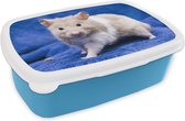 Broodtrommel Blauw - Lunchbox - Brooddoos - Syrische hamster - 18x12x6 cm - Kinderen - Jongen