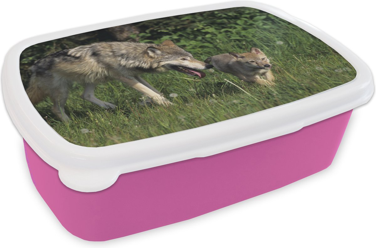 Broodtrommel Roze - Lunchbox - Brooddoos - Wolf - Baby - Gras - 18x12x6 cm - Kinderen - Meisje