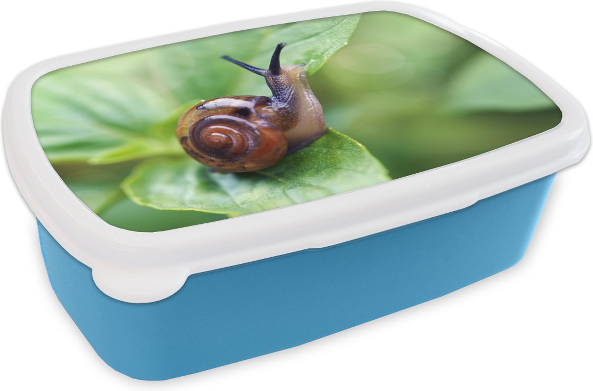 Broodtrommel Blauw - Lunchbox - Brooddoos - Slak op blad - 18x12x6 cm - Kinderen - Jongen