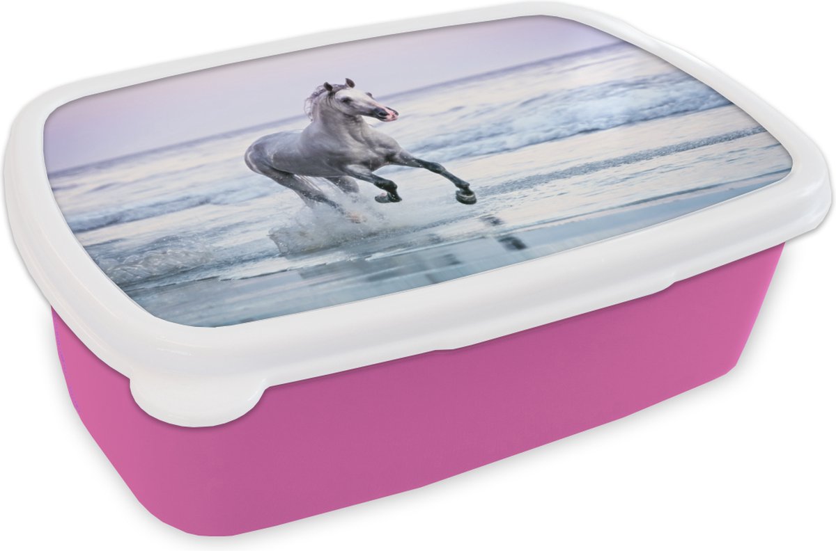Broodtrommel Roze - Lunchbox - Brooddoos - Paard - Schimmel - Strand - 18x12x6 cm - Kinderen - Meisje
