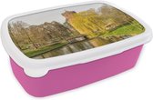 Broodtrommel Roze - Lunchbox - Brooddoos - Water - Boom - Nijmegen - 18x12x6 cm - Kinderen - Meisje