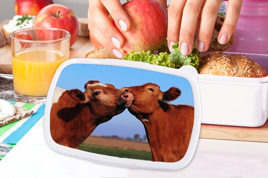 Lunch box Wit - Lunch box - Boîte à pain - Vaches - Été - Marron - 18x12x6 cm - Adultes