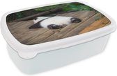 Broodtrommel Wit - Lunchbox - Brooddoos - Dier - Panda - Slapen - 18x12x6 cm - Volwassenen