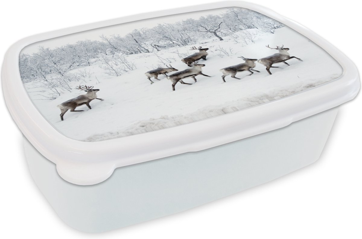 Broodtrommel Wit - Lunchbox - Brooddoos - Rendier - Sneeuw - Bos - Winter - 18x12x6 cm - Volwassenen