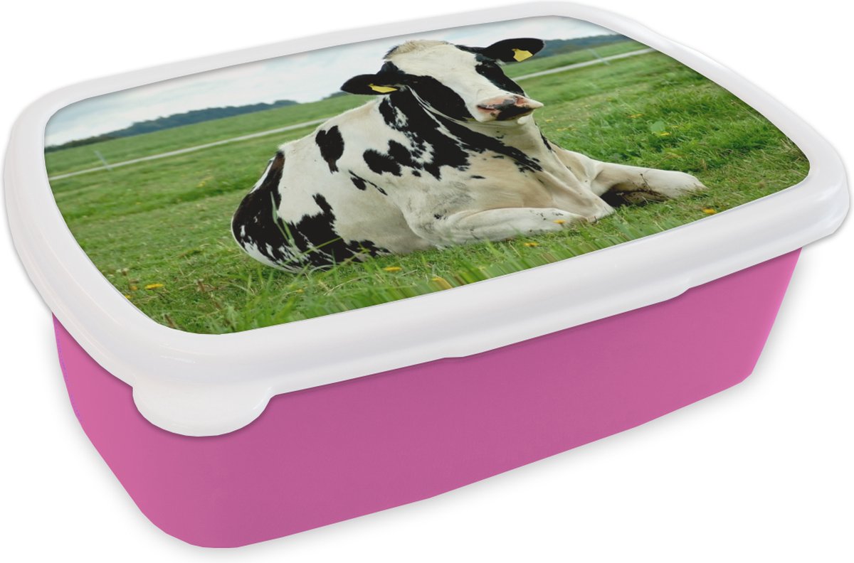 Broodtrommel Roze - Lunchbox - Brooddoos - Koe - Gras - Dieren - Berg - 18x12x6 cm - Kinderen - Meisje
