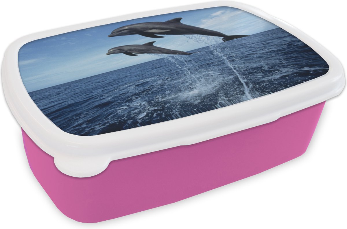 Broodtrommel Roze - Lunchbox - Brooddoos - Dolfijn - Zee - Dier - 18x12x6 cm - Kinderen - Meisje