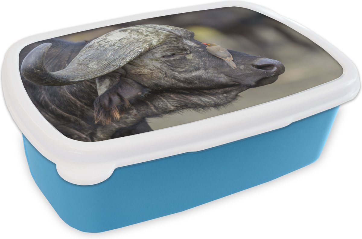 Broodtrommel Blauw - Lunchbox - Brooddoos - Buffel - Vogel - Dieren - 18x12x6 cm - Kinderen - Jongen
