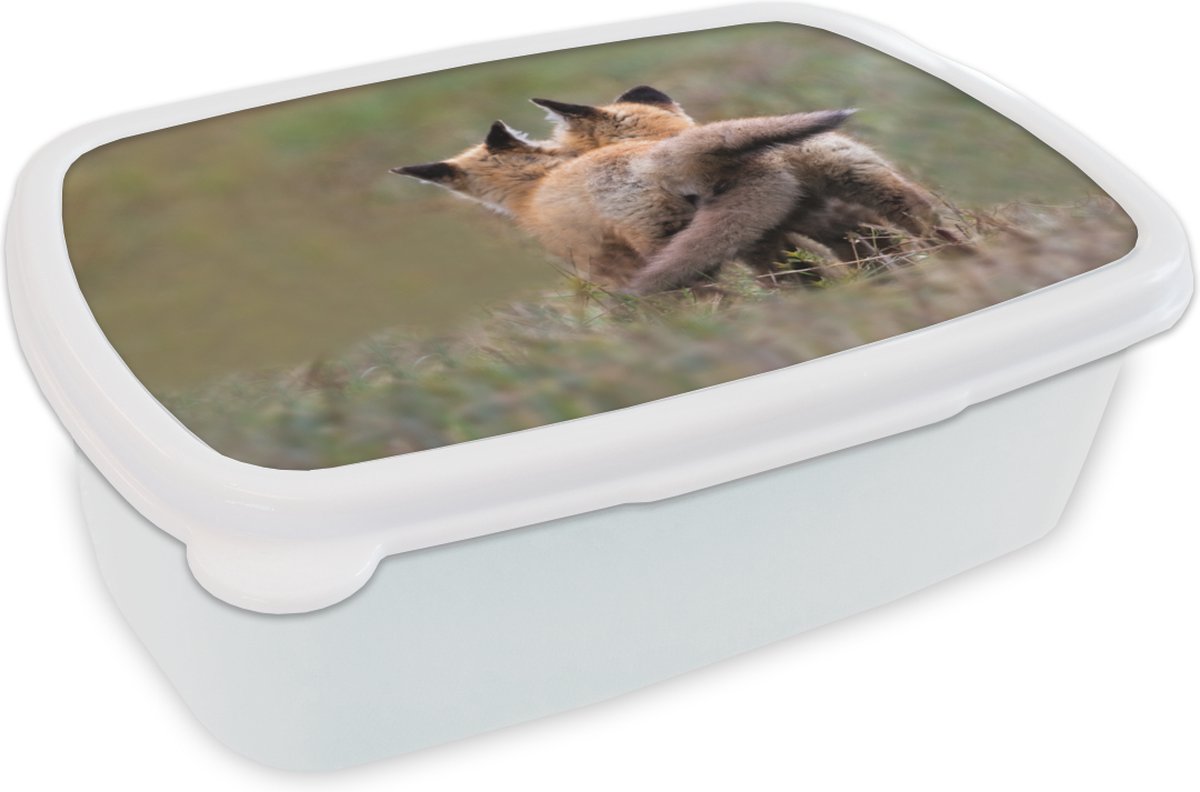 Broodtrommel Wit - Lunchbox - Brooddoos - Vos - Gras - Dieren - 18x12x6 cm - Volwassenen